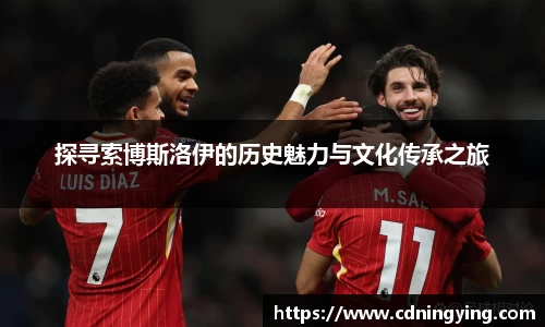 百达娱乐平台登陆入口