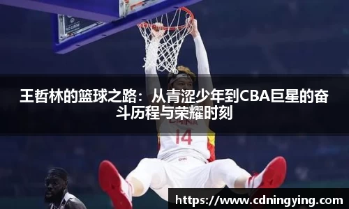 百达娱乐平台登陆入口